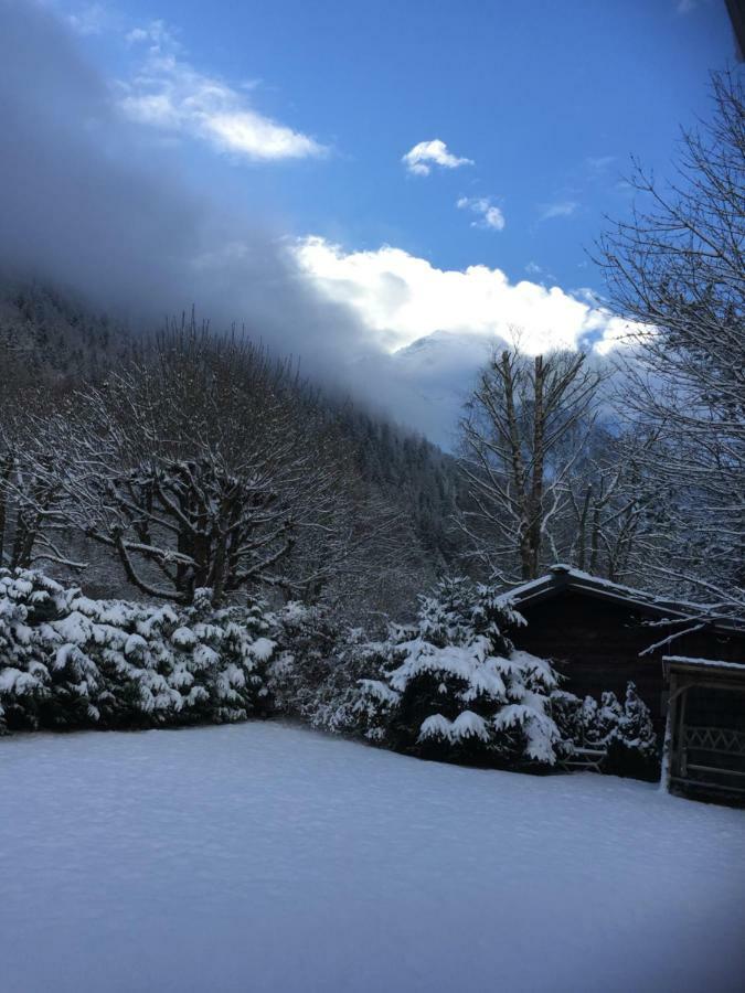 Chalet Des Petits Loups Chamonix Exterior photo